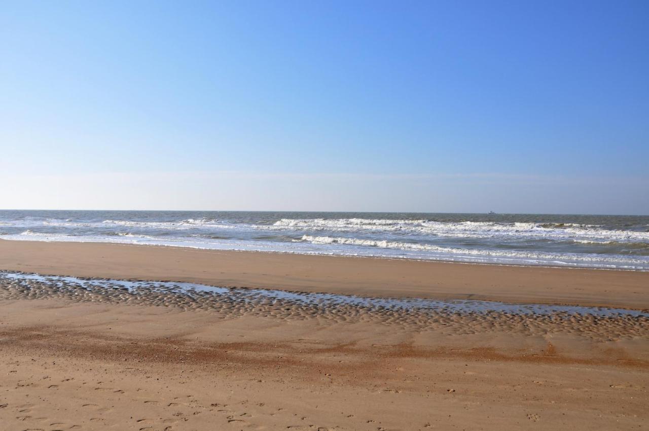 La Perle D'Ostende المظهر الخارجي الصورة