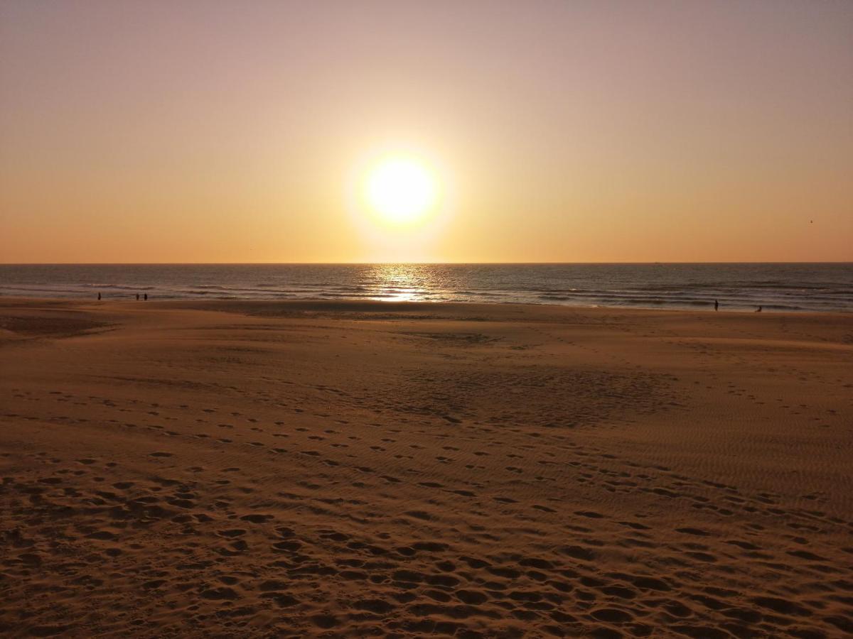 La Perle D'Ostende المظهر الخارجي الصورة